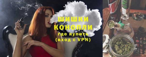 гашик Белоозёрский