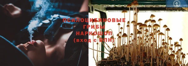 трава Беломорск